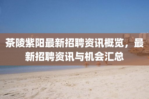 茶陵紫陽最新招聘資訊概覽，最新招聘資訊與機會匯總