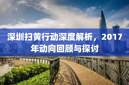 深圳掃黃行動(dòng)深度解析，2017年動(dòng)向回顧與探討
