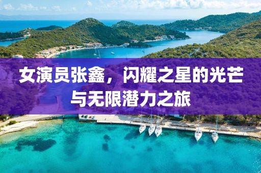 女演員張?chǎng)?，閃耀之星的光芒與無(wú)限潛力之旅