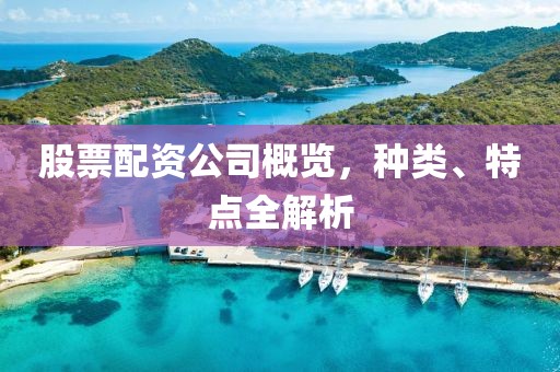 股票配資公司概覽，種類、特點全解析