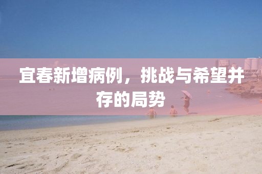 宜春新增病例，挑戰(zhàn)與希望并存的局勢(shì)