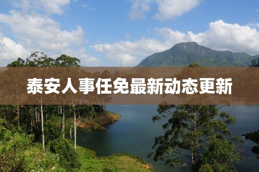 泰安人事任免最新動態(tài)更新