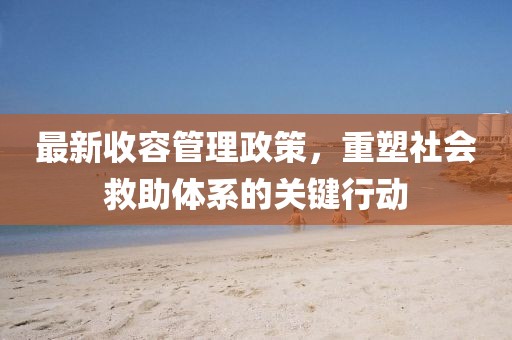 最新收容管理政策，重塑社會(huì)救助體系的關(guān)鍵行動(dòng)