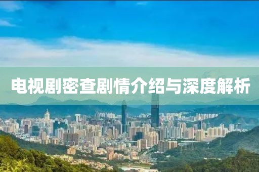 電視劇密查劇情介紹與深度解析