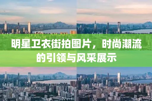 明星衛(wèi)衣街拍圖片，時(shí)尚潮流的引領(lǐng)與風(fēng)采展示