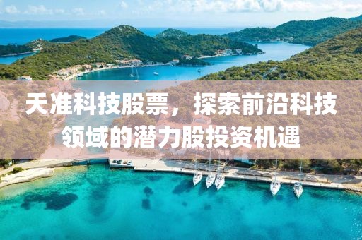 天準(zhǔn)科技股票，探索前沿科技領(lǐng)域的潛力股投資機(jī)遇