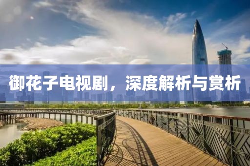 御花子電視劇，深度解析與賞析