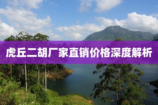 虎丘二胡廠家直銷價(jià)格深度解析