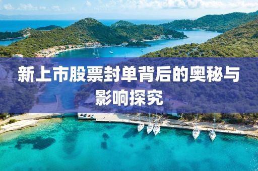 新上市股票封單背后的奧秘與影響探究