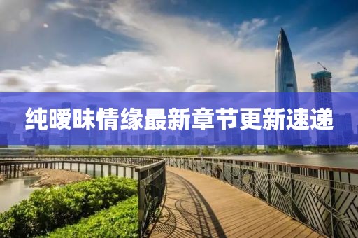 純曖昧情緣最新章節(jié)更新速遞