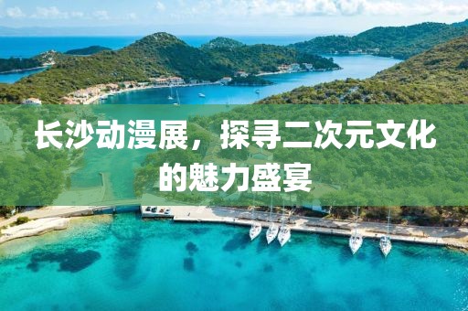 長沙動(dòng)漫展，探尋二次元文化的魅力盛宴