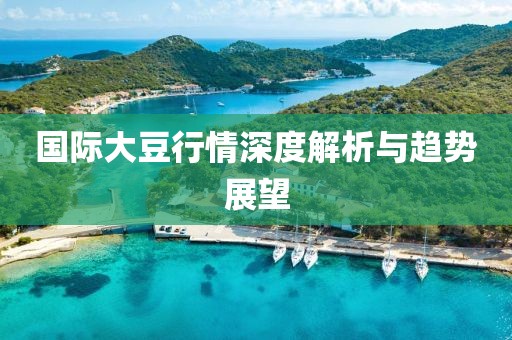 國際大豆行情深度解析與趨勢展望