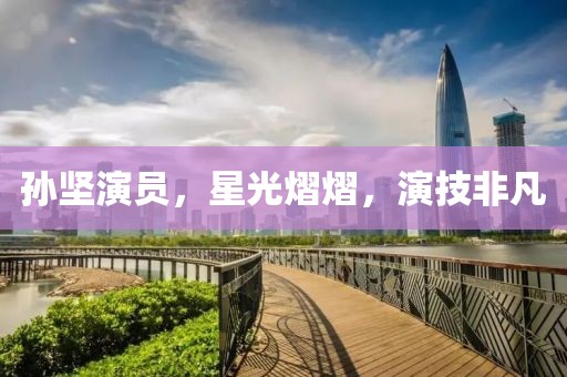 孫堅演員，星光熠熠，演技非凡