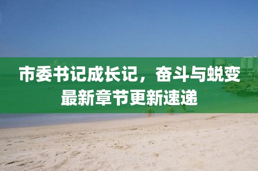 市委書記成長記，奮斗與蛻變最新章節(jié)更新速遞