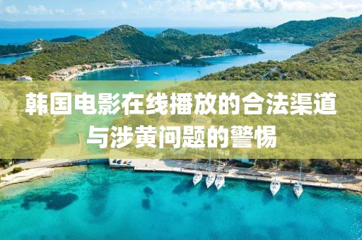 韓國(guó)電影在線播放的合法渠道與涉黃問題的警惕