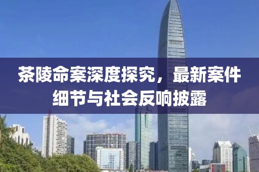 茶陵命案深度探究，最新案件細(xì)節(jié)與社會(huì)反響披露