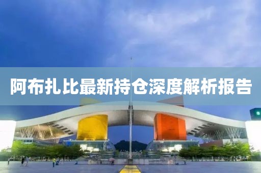 阿布扎比最新持倉深度解析報告