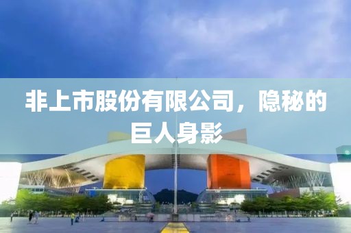 非上市股份有限公司，隱秘的巨人身影
