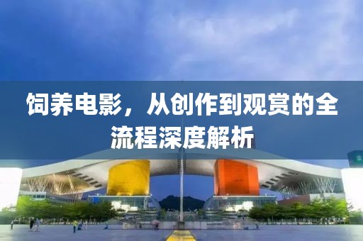 飼養(yǎng)電影，從創(chuàng)作到觀賞的全流程深度解析