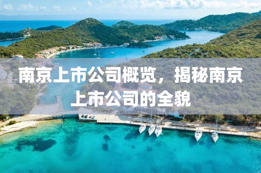 南京上市公司概覽，揭秘南京上市公司的全貌