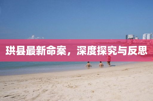 珙縣最新命案，深度探究與反思