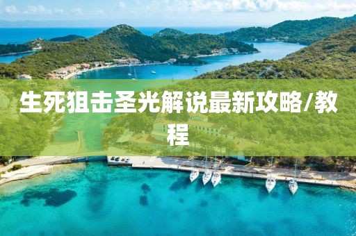 生死狙擊圣光解說最新攻略/教程