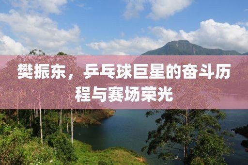 樊振東，乒乓球巨星的奮斗歷程與賽場榮光