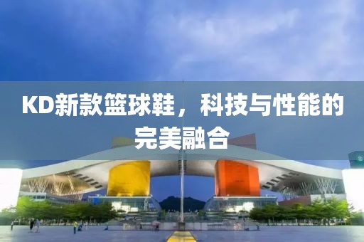 KD新款籃球鞋，科技與性能的完美融合