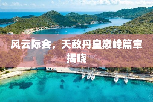 風(fēng)云際會，天敵丹皇巔峰篇章揭曉