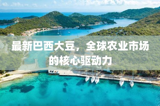 最新巴西大豆，全球農(nóng)業(yè)市場(chǎng)的核心驅(qū)動(dòng)力