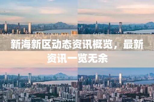 新海新區(qū)動態(tài)資訊概覽，最新資訊一覽無余