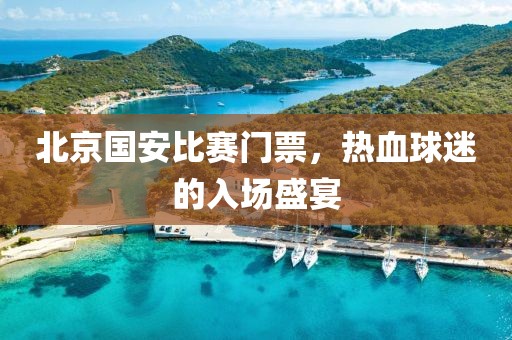 北京國安比賽門票，熱血球迷的入場盛宴