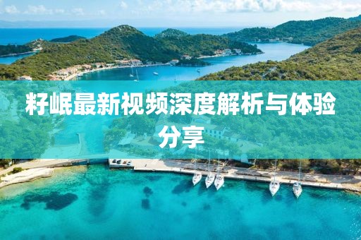 籽岷最新視頻深度解析與體驗分享