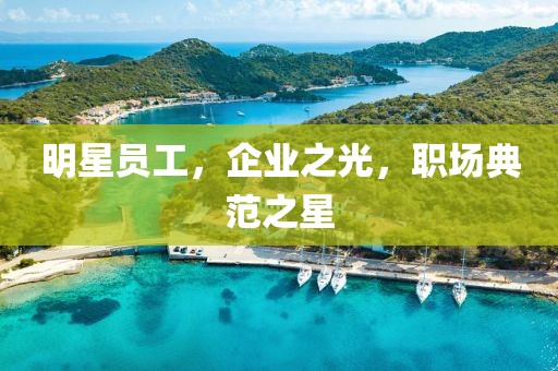 明星員工，企業(yè)之光，職場典范之星