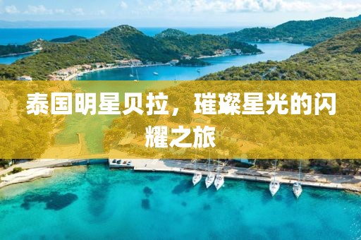 泰國明星貝拉，璀璨星光的閃耀之旅