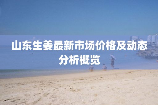 山東生姜最新市場價格及動態(tài)分析概覽