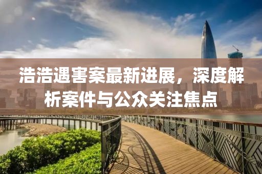 浩浩遇害案最新進(jìn)展，深度解析案件與公眾關(guān)注焦點(diǎn)