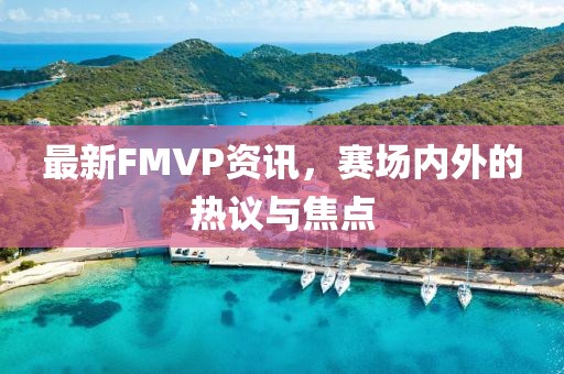 最新FMVP資訊，賽場(chǎng)內(nèi)外的熱議與焦點(diǎn)