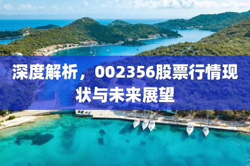 深度解析，002356股票行情現(xiàn)狀與未來展望