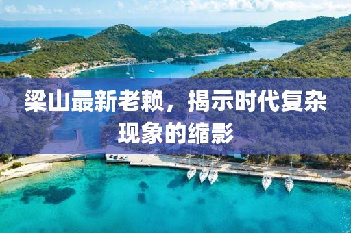 梁山最新老賴，揭示時代復(fù)雜現(xiàn)象的縮影