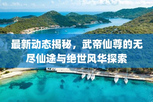 最新動(dòng)態(tài)揭秘，武帝仙尊的無(wú)盡仙途與絕世風(fēng)華探索