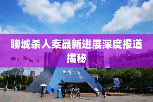 聊城殺人案最新進展深度報道揭秘