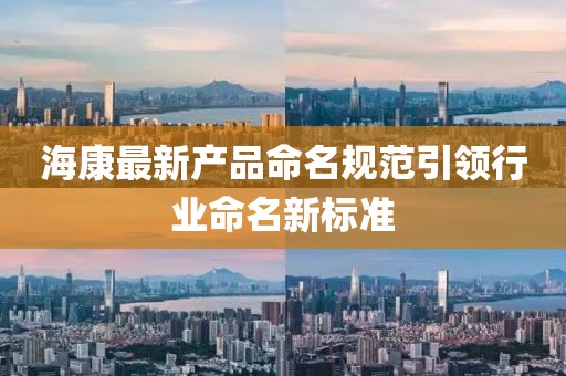 ?？底钚庐a(chǎn)品命名規(guī)范引領(lǐng)行業(yè)命名新標(biāo)準(zhǔn)