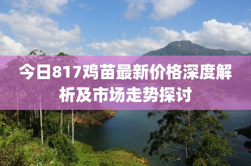 今日817雞苗最新價格深度解析及市場走勢探討