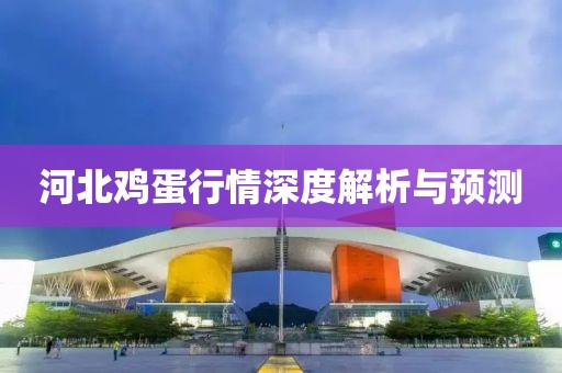 河北雞蛋行情深度解析與預測