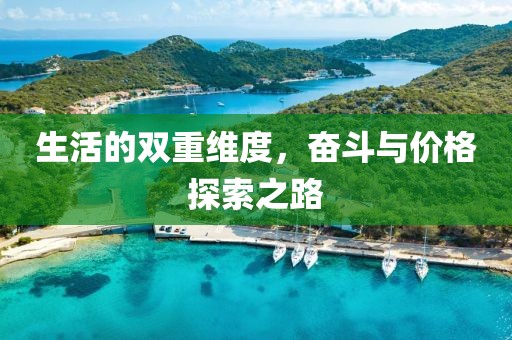 生活的雙重維度，奮斗與價格探索之路