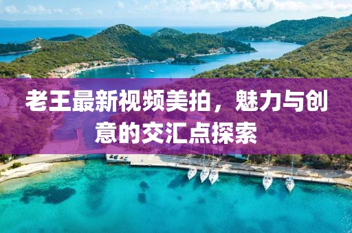 老王最新視頻美拍，魅力與創(chuàng)意的交匯點探索