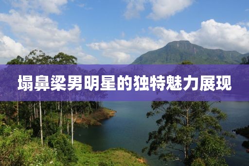 塌鼻梁男明星的獨特魅力展現(xiàn)