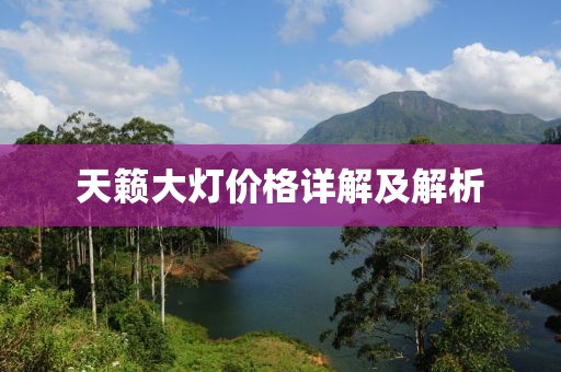 天籟大燈價(jià)格詳解及解析