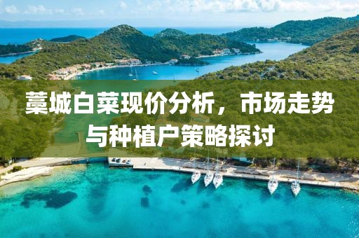 藁城白菜現(xiàn)價(jià)分析，市場(chǎng)走勢(shì)與種植戶策略探討